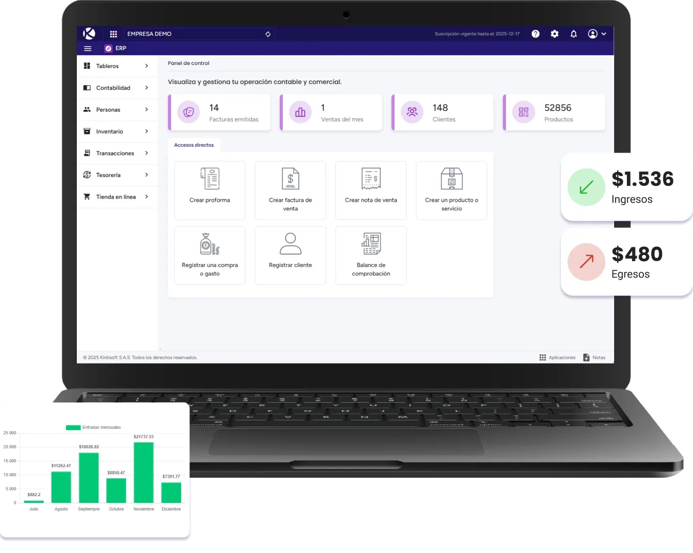 Captura del ERP de KintiSoft en uso